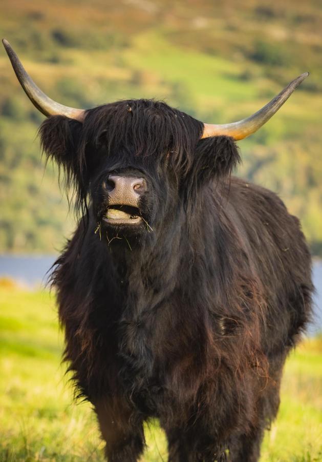 Loch Ness Cottage Fort Augustus Esterno foto
